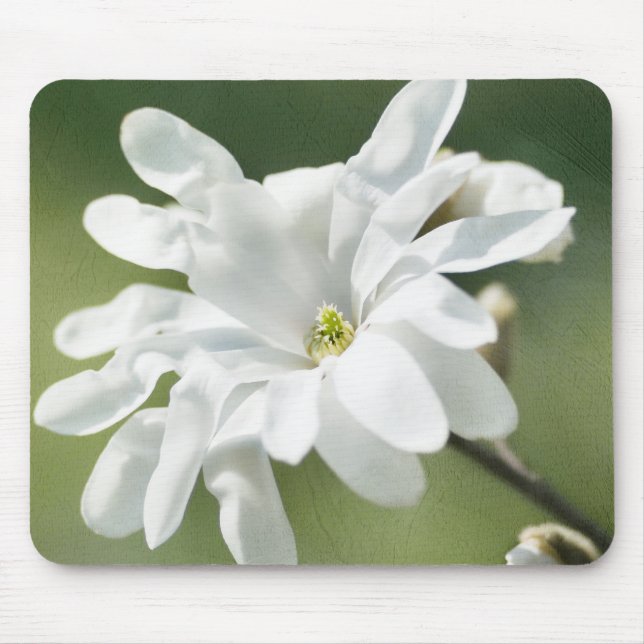 White Magnolia Flower Mouse Mat (Front)