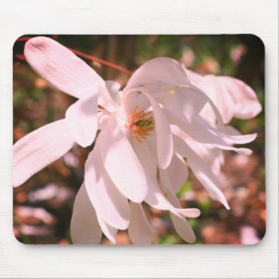 White Magnolia Flower  Mouse Mat