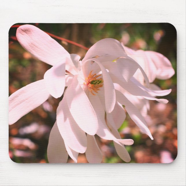 White Magnolia Flower  Mouse Mat (Front)