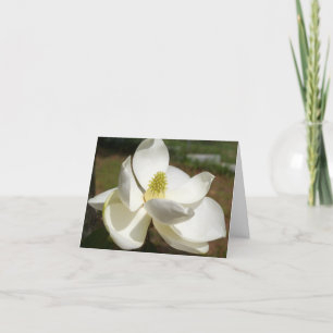 White Magnolia Flower on a thank you card