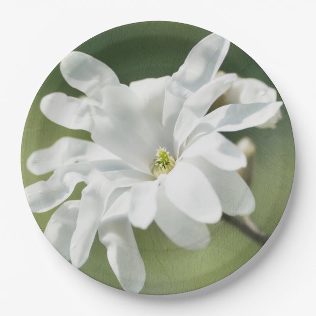 White Magnolia Flower Paper Plate (Front)