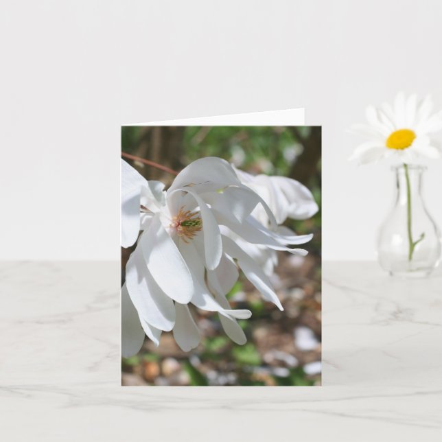 White Magnolia Flower Personalised Note Card (Small Plant)