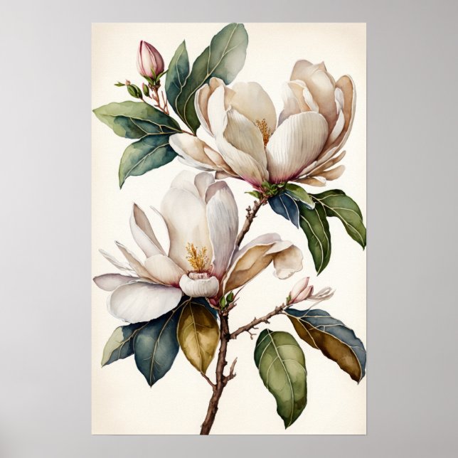 White Magnolia Flowers Art Print Poster (Front)