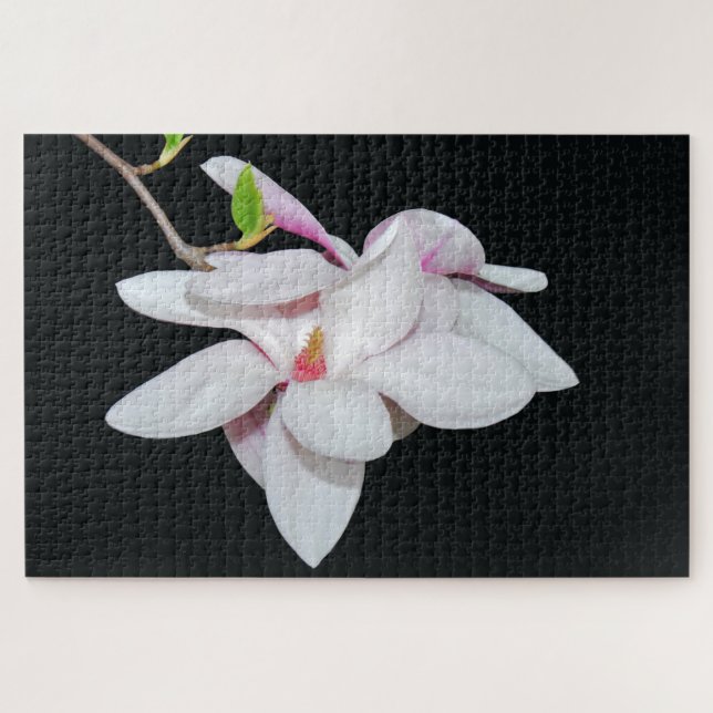 White Magnolia Jigsaw Puzzle (Horizontal)