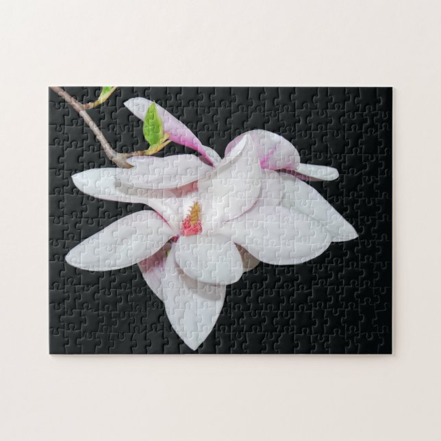 White Magnolia Jigsaw Puzzle (Horizontal)