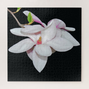 White Magnolia Jigsaw Puzzle
