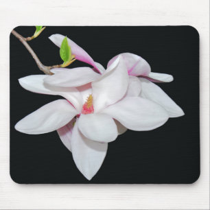 White Magnolia Mouse Mat