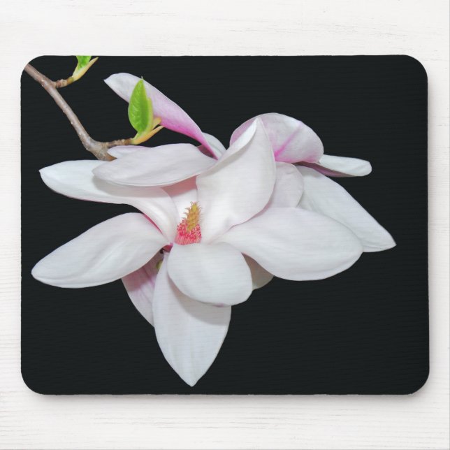 White Magnolia Mouse Mat (Front)