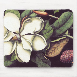 White Magnolia Mousepad, Cool Mousepads