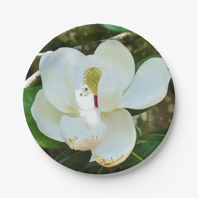 White Magnolia Paper Plate (Front)