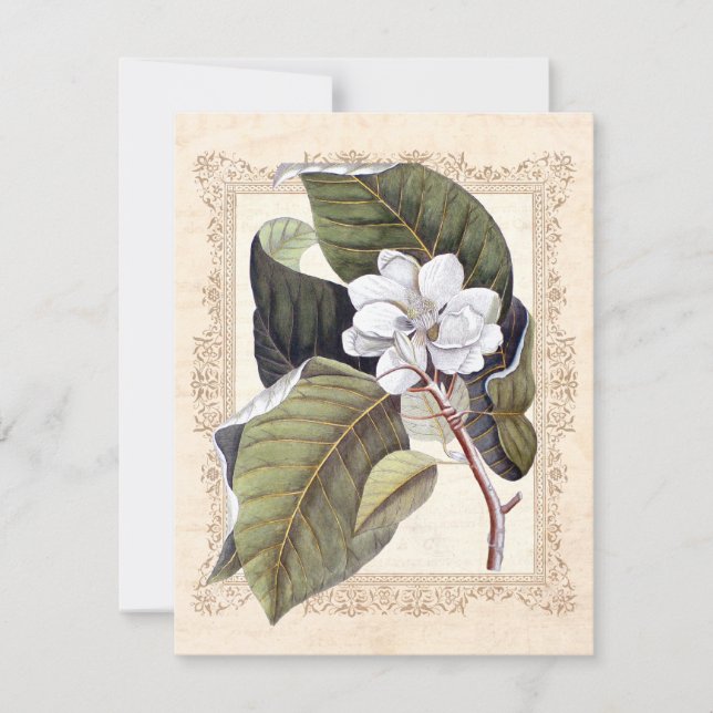 White Magnolia Southern Wedding Save the Date (Front)