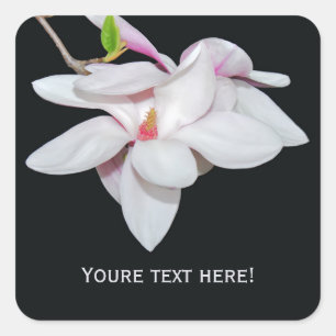 White Magnolia Square Sticker