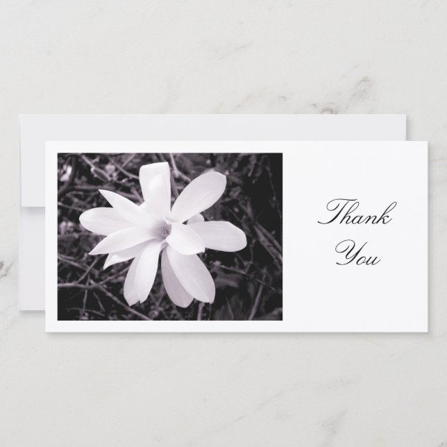 White Magnolia - Thank You Card (Front)