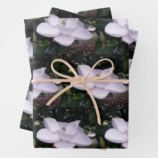 White Magnolia Wrapping Paper Flat Sheet Set of 3 (In situ)
