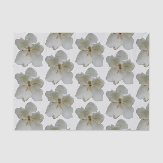 White Magnolias on tissue paper (Front)
