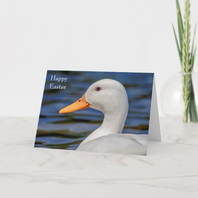 White Mallard Duck Holiday Card (Front)
