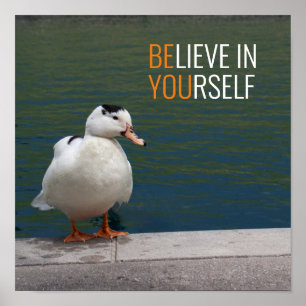 White Mallard Duck Photo Poster