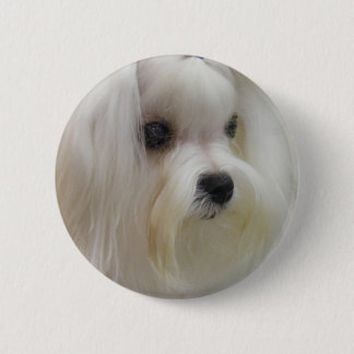White Maltese 6 Cm Round Badge