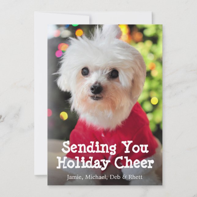 White Maltese dog in red Santa Claus suit. Holiday Card (Front)