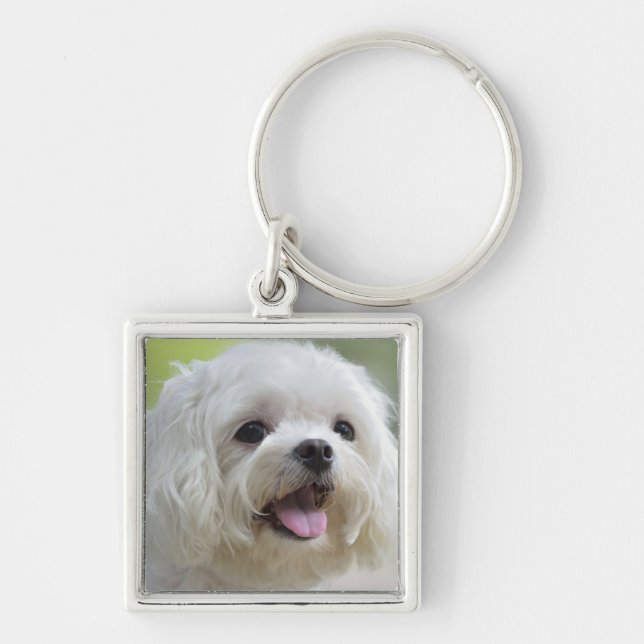 White Maltese Dog Key Ring (Front)