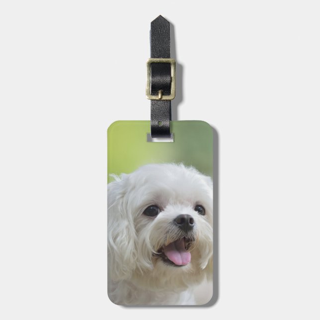 White Maltese Dog Luggage Tag (Front Vertical)