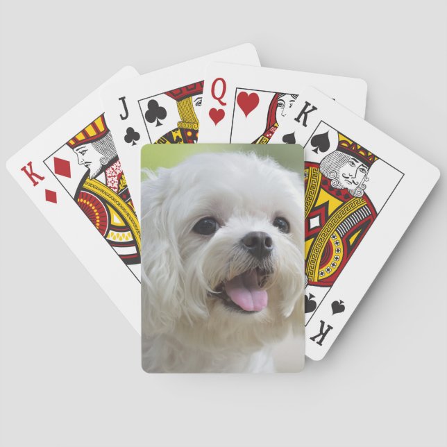 White Maltese Dog Playing Cards (Back)