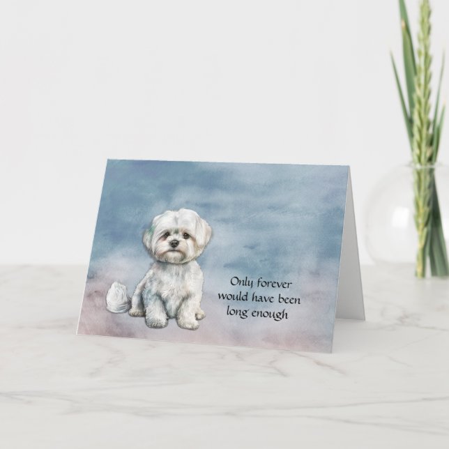 White Maltese Dog Sympathy Card (Front)