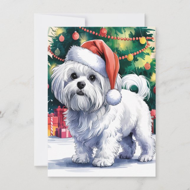 White Maltese Dog with Santa Hat Holiday Card (Front)