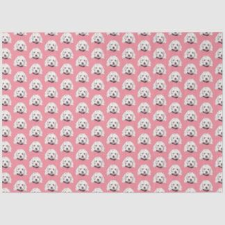 White Maltese Pooch Girly Pink Tissue Paper
