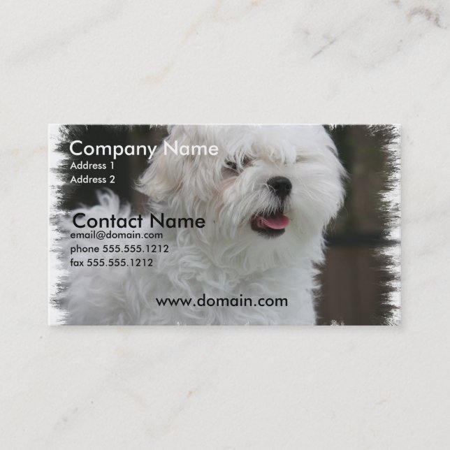 White Maltese Puppy Dog Business Card (Front)