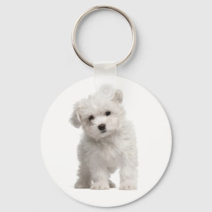 White Maltese Puppy Dog Love Custom Keychain