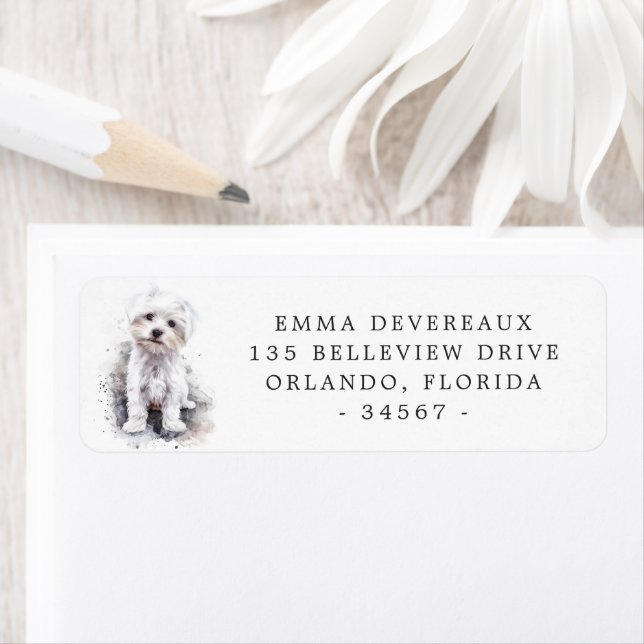 White Maltese Puppy Return Address Label (Insitu)