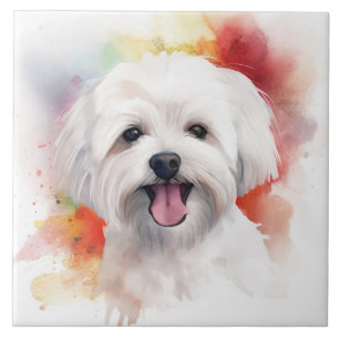 White Maltese Watercolor dog pet Tile