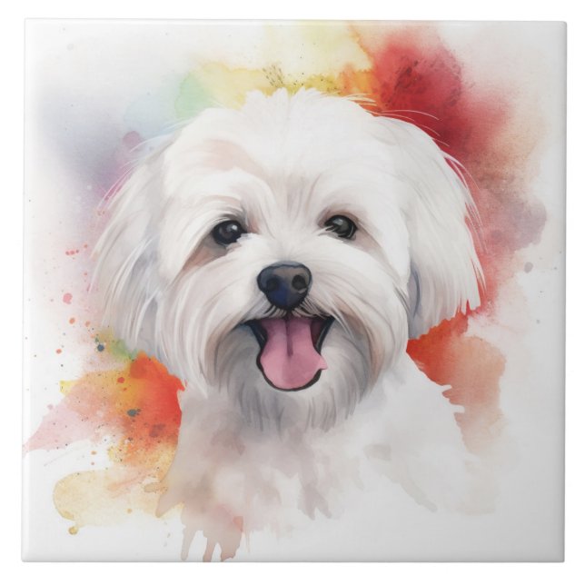 White Maltese Watercolor dog pet Tile (Front)