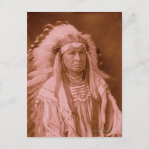 White Man Runs Him - Crow Postcard
