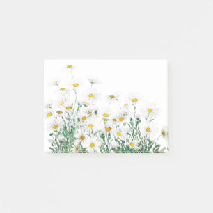 white margaret daisy horizontal watercolor paintin post-it notes