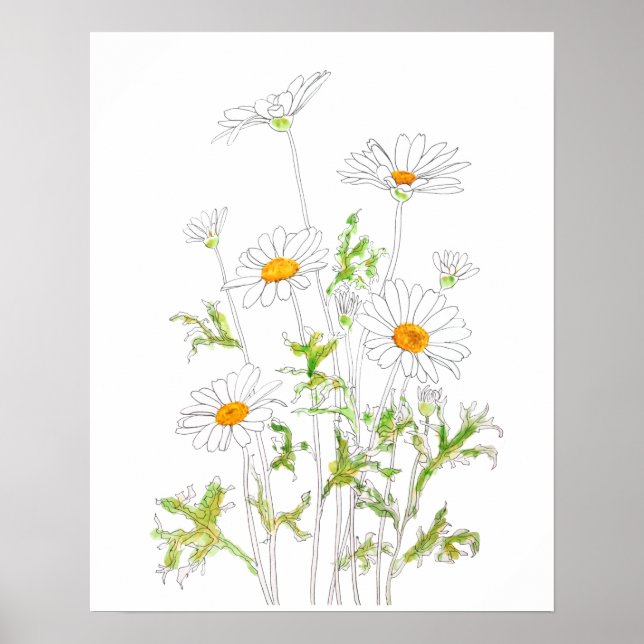 white Margaret daisy ink and watercolor Poster (Front)