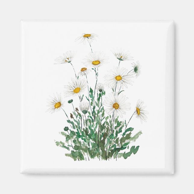 white Margaret daisy watercolor Magnet (Front)