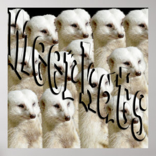 White Meerkat Army And Logo, Poster