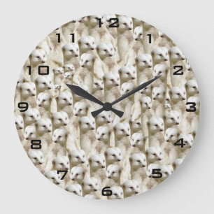 White Meerkat Faces, Large Clock
