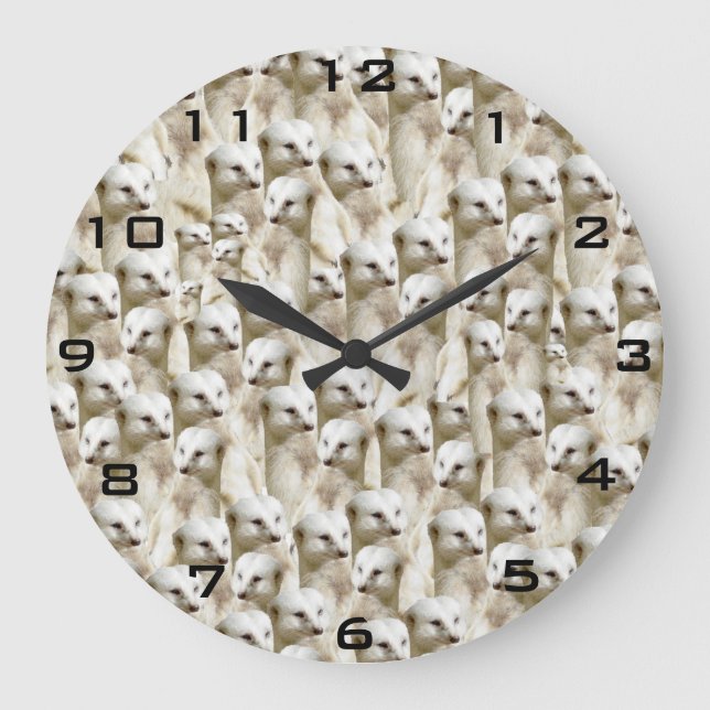 White Meerkat Faces, Large Clock (Front)