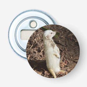 White Meerkat, Magnetic Bottle Opener. Opener