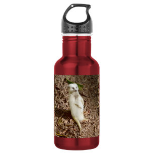 White Meerkat Standing, 532 Ml Water Bottle
