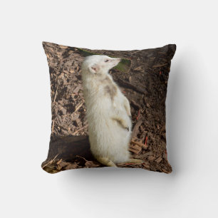 White Meerkat Standing , Cushion