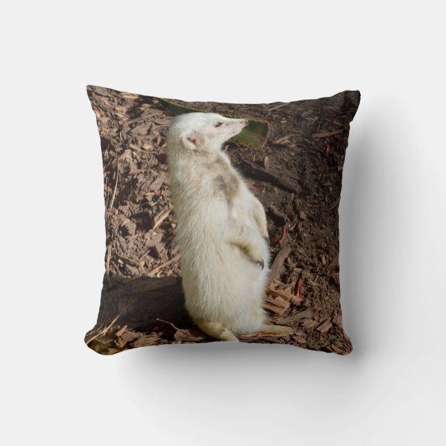 White Meerkat Standing , Cushion (Front)