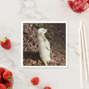 White Meerkat Standing , Paper Party Napkins