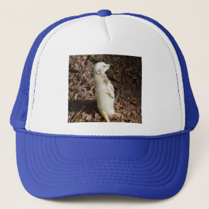 White Meerkat Standing,  Trucker Hat