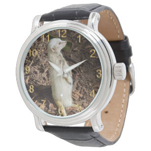 White Meerkat Standing, Watch
