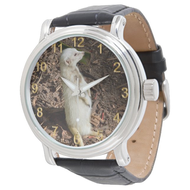 White Meerkat Standing,  Watch (Angled)