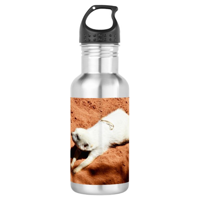 White Meerkat Stretching, Water Bottle (Front)